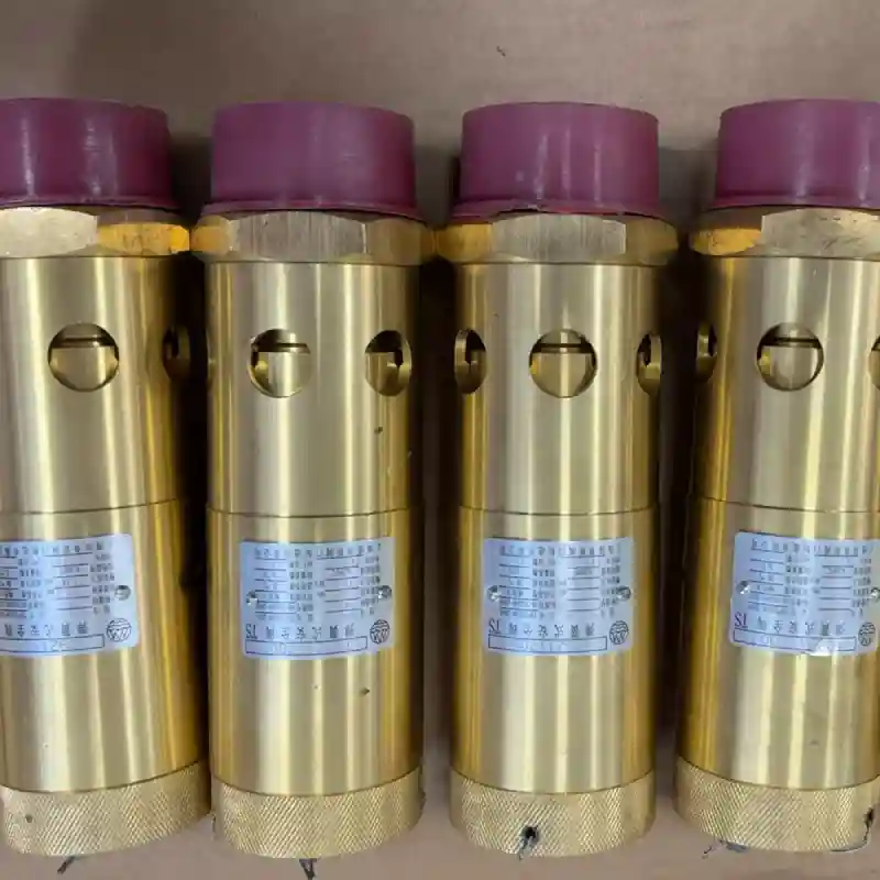 Atlas Copco Safety Valve 1092117000